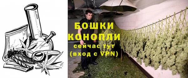 PSILOCYBIN Балабаново