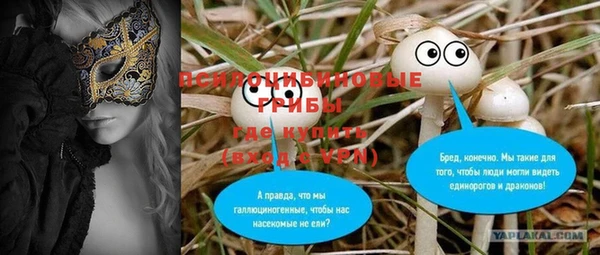 PSILOCYBIN Балабаново
