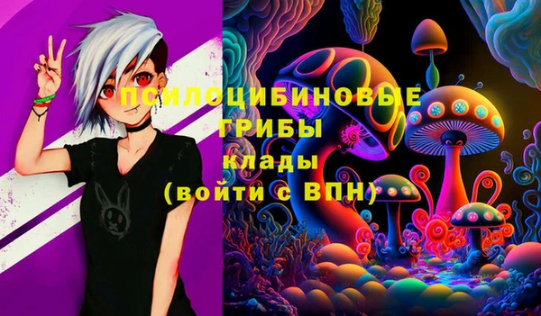 PSILOCYBIN Балабаново