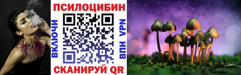 Галлюциногенные грибы Psilocybine cubensis Вязники